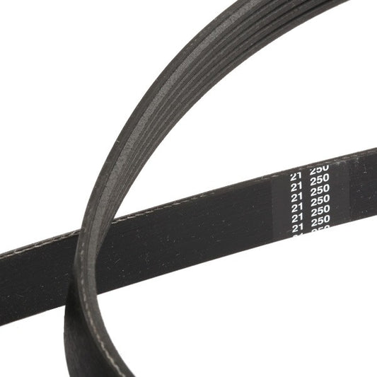 Bosch V-Ribbed Belt 1987946293 - 5PK1765