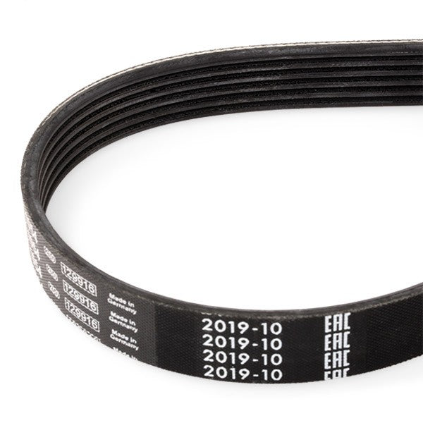 Bosch V-Ribbed Belt 1987948452 - 6PK1054